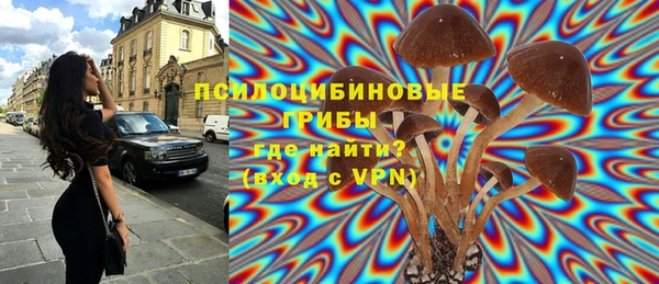 винт Дмитровск