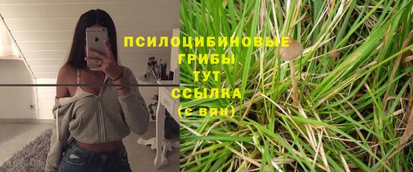 винт Дмитровск