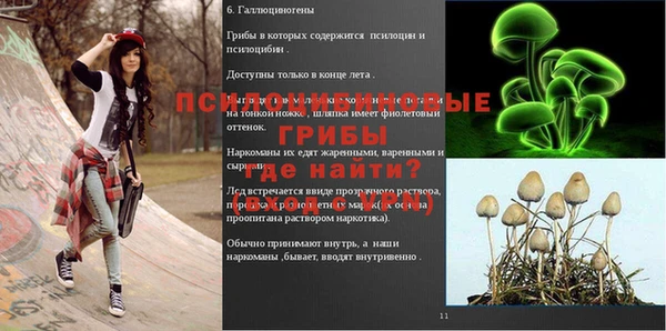 винт Дмитровск