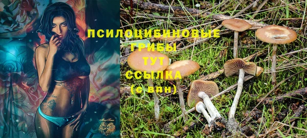 гашиш Дмитров