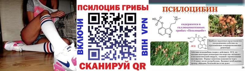 Галлюциногенные грибы Psilocybe  магазин продажи   Королёв 